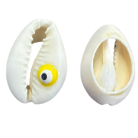 Cowrie/Eye
