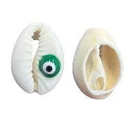 Cowrie/Eye