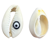 Cowrie/Eye