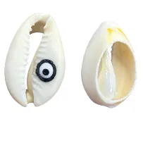 Cowrie/Eye