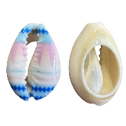 Cowrie