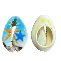 Cowrie