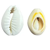 Cowrie