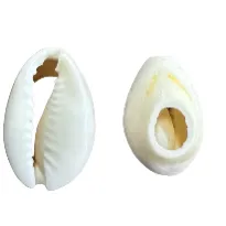 Cowrie