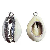 Cowrie